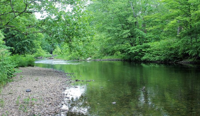 L’état de la ressource en eau devient préoccupant sur l’ensemble du Maine-et-Loire annonce la préfecture