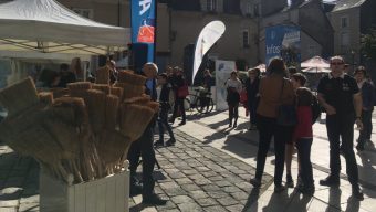 Plus de 1 700 Angevins mobilisés pour la 3e Journée Citoyenne