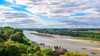 Cyanobactéries : Suspension de la pêche dans le Loire et le Louet