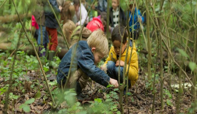 Balades au coeur des espaces naturels sensibles de l’Anjou