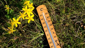 Le préfet de Maine-et-Loire déclenche le niveau 3 du plan canicule