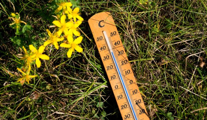 Le préfet de Maine-et-Loire déclenche le niveau 3 du plan canicule