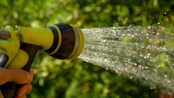 Maine-et-Loire : le préfet appelle à limiter la consommation d’eau