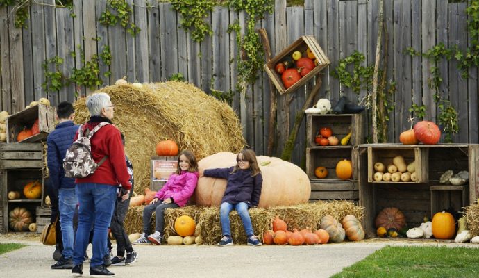 7 000 visiteurs ce weekend à Terra Botanica à Angers pour la Fête de l’automne