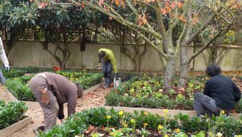 Plus de 500 étudiants du Maine-et-Loire participent aux chantiers école de Terra Botanica à Angers