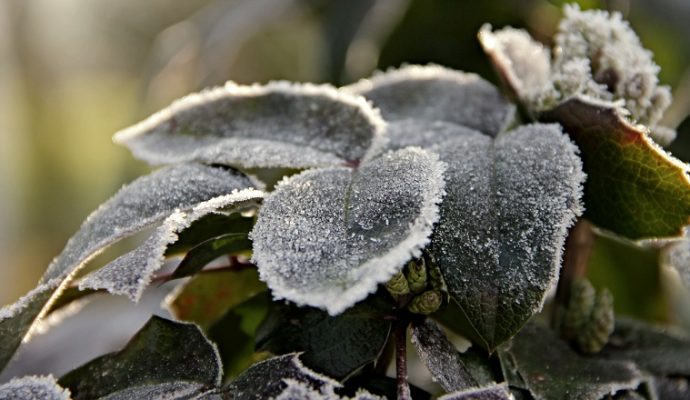 Le froid fait son retour dans les Pays de la Loire