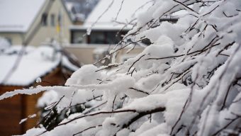 Neige : Les transports scolaires suspendus ce mercredi