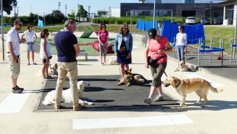 L’Association les Chiens Guides d’Aveugles de l’Ouest ouvre ses portes en ligne