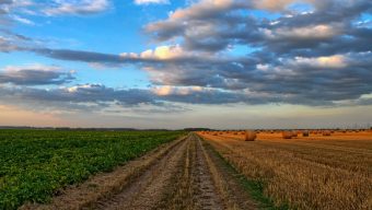 La préfecture suspend l’utilisation du produit phytosanitaire Métham Sodium