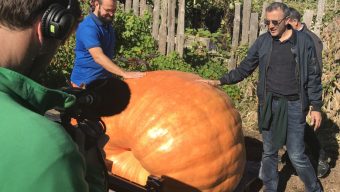 Fête de l’Automne à Terra Botanica : des préparatifs médiatiques et des récompenses nationales