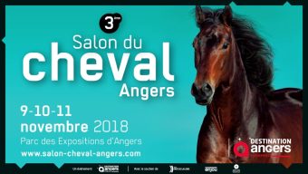 Nouvelle édition du Salon du cheval du 9 au 11 novembre