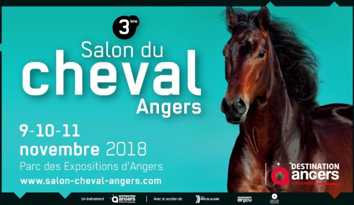 Nouvelle édition du Salon du cheval du 9 au 11 novembre