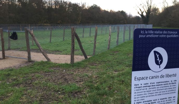 Un espace canin de liberté créé au parc Balzac