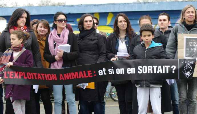 Une manifestation contre la présence d’animaux sauvages dans les cirques