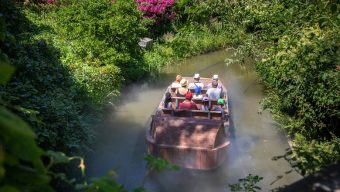 Terra Botanica a accueilli 288 000 visiteurs en 2018