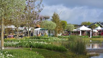 « Les Printemps de Terra » les samedi 30 et dimanche 31 mars