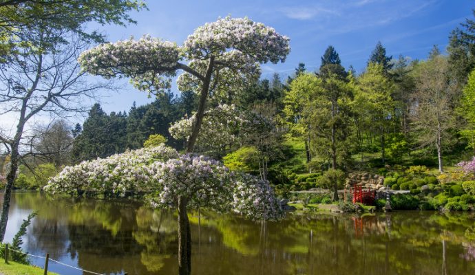 Le Parc Oriental rouvre ses portes le 15 mars pour une nouvelle saison