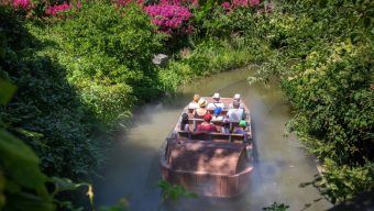 Terra Botanica : une dixième saison avec de nombreuses nouveautés