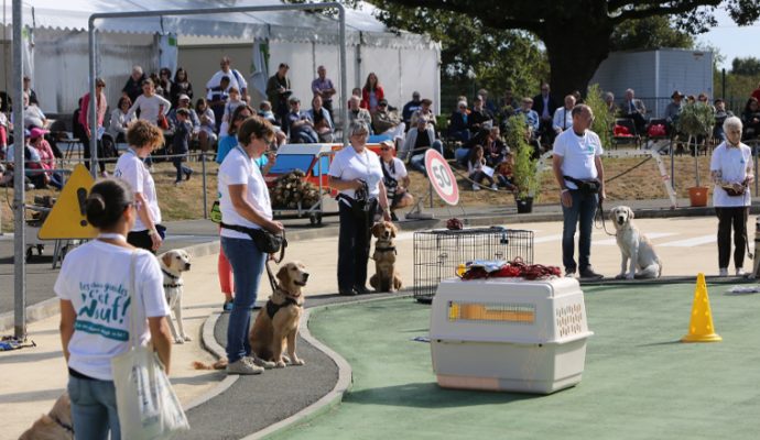 Les Chiens Guides d’Aveugles de l’Ouest ouvrent leurs portes dimanche prochain