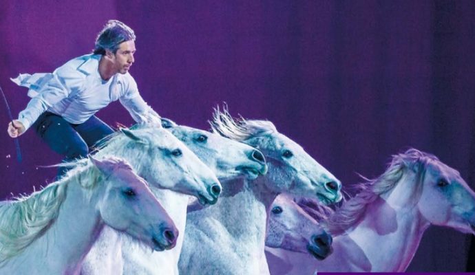 Le Salon du Cheval d’Angers lance la première saison d’« Étoiles Équestres »