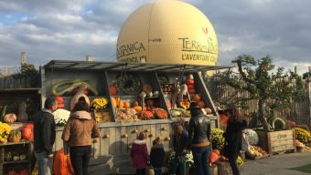 Terra Botanica fête l’automne pendant les vacances de la Toussaint