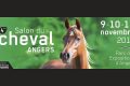 Salon du Cheval