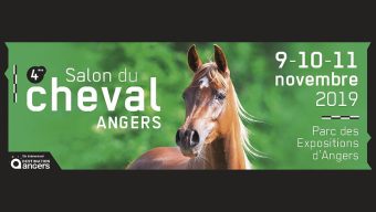 Le Salon du Cheval de retour du 9 au 11 novembre