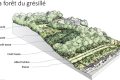 Foret de Gresillé