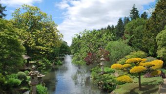 Anjou Tourisme annonce une saison touristique 2019 record en Maine-et-Loire