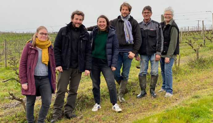 Une Angevine de 32 ans reprend un domaine viticole de 25 hectares