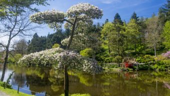 La très bonne saison du Parc Oriental de Maulévrier