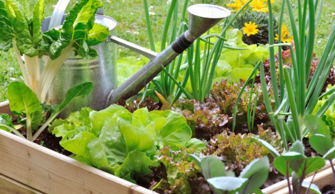 220 000 € pour soutenir les projets de jardins partagés et d’agriculture urbaine en Maine-et-Loire