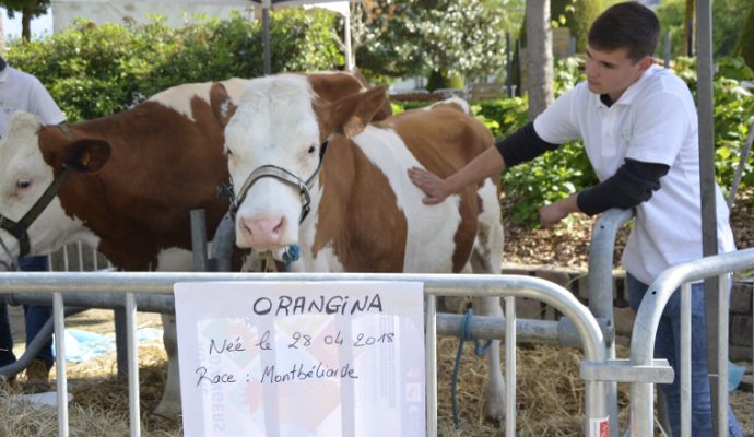 « Au Pré d’Angers » n’aura pas lieu cette année