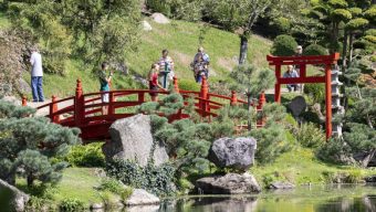 Un reportage sur le Parc oriental dans l’émission Des Racines et des Ailes sur France 3