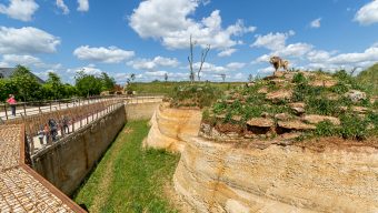 Le Bioparc de Doué-la-Fontaine rejoint le plus grand réseau de protection de la nature