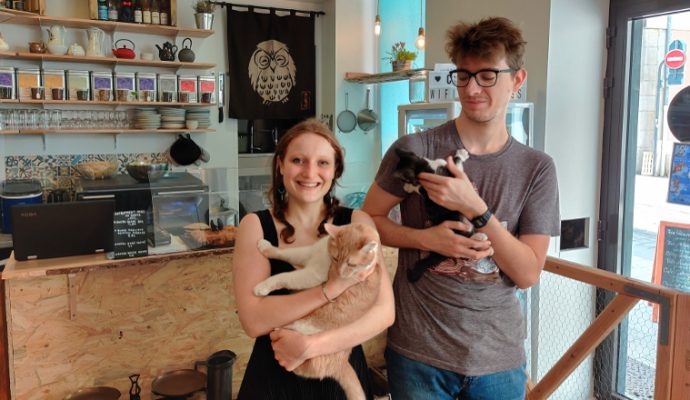 Le premier bar à chats d’Angers ouvre rue de la Roë