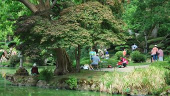 Le bon début de saison du Parc Oriental de Maulévrier