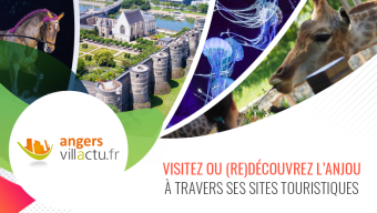 Pendant l’été, visitez ou (re)découvrez l’Anjou avec notre sélection de sites touristiques