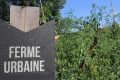 ferme-agriculture urbaine