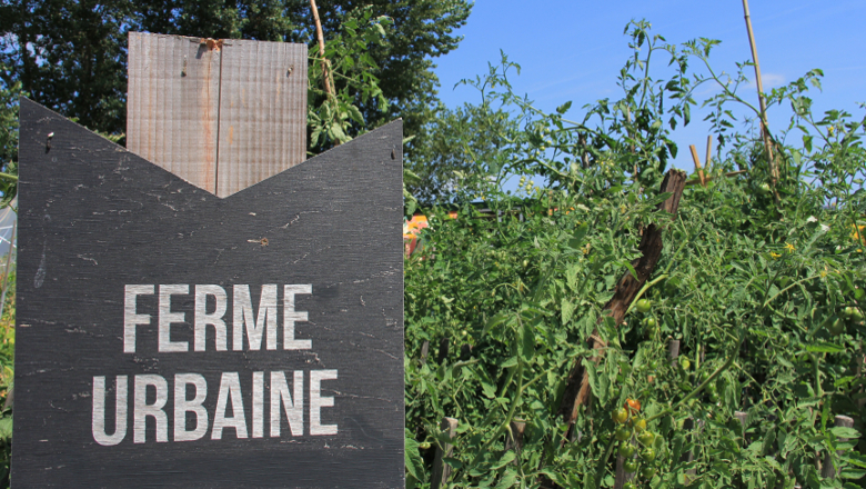 ferme-agriculture urbaine