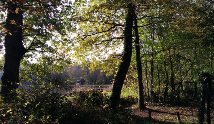 L’accès à la forêt de Longuenée est temporairement interdit