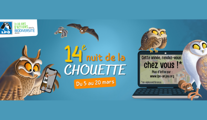 La ligue pour la protection des oiseaux organise la nuit de la Chouette