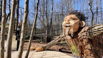 A la découverte des « Mystères de la forêt », le nouvel univers de Terra Botanica