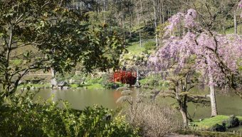 Le Parc oriental de Maulévrier rouvre ce week-end