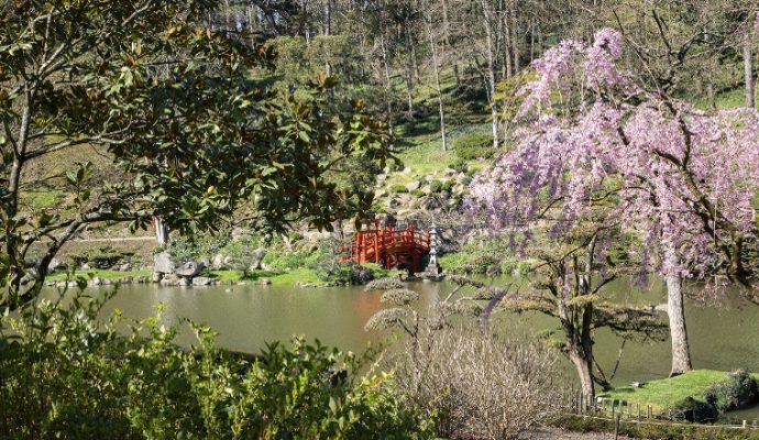 Le Parc oriental de Maulévrier rouvre ce week-end