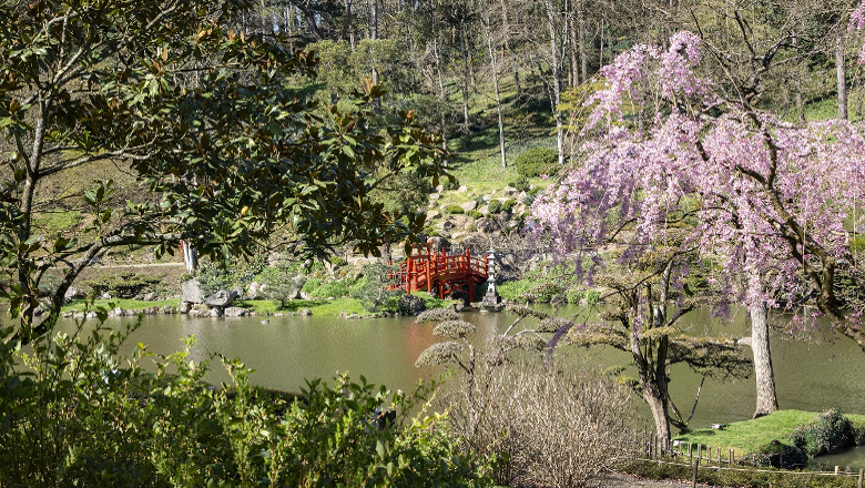 Parc Oriental de Maulévrier