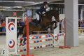 Salon du cheval 2019