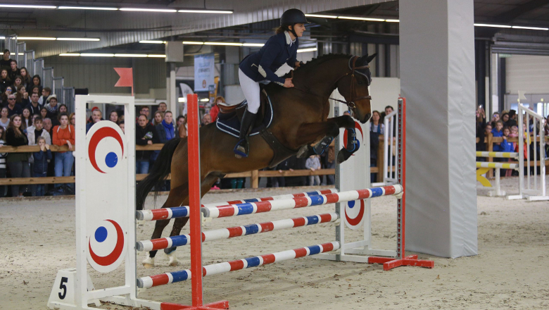 Salon du cheval 2019