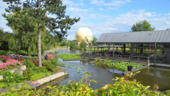 La Duck Race 2021 se tiendra finalement à Terra Botanica