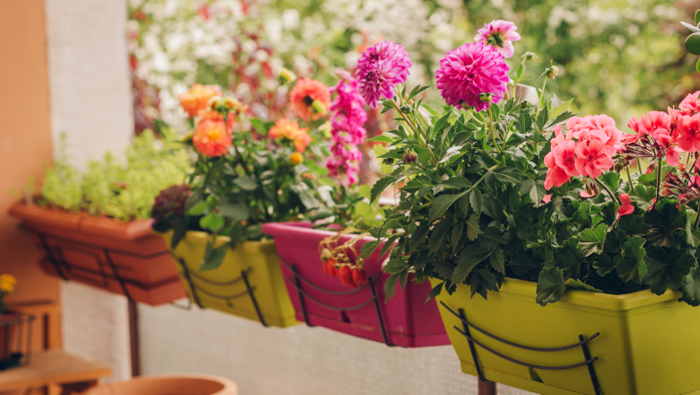 Fleurs balcon